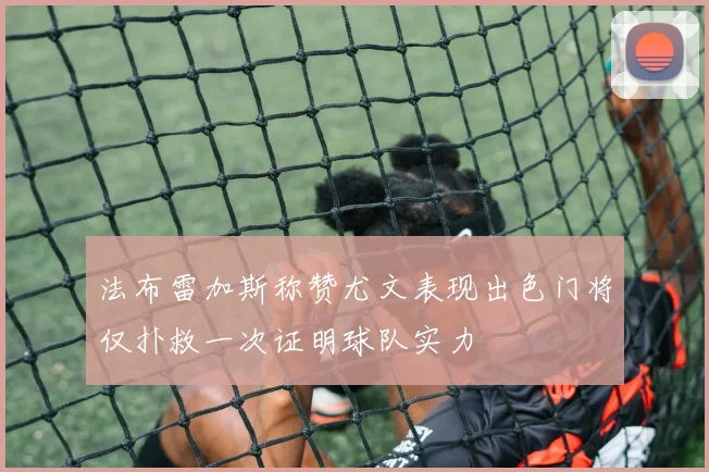 法布雷加斯称赞尤文表现出色门将仅扑救一次证明球队实力